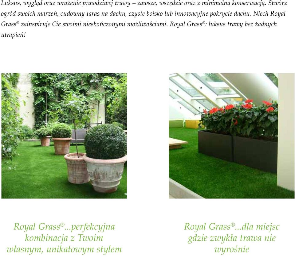 Niech Royal Grass zainspiruje Cię swoimi nieskończonymi możliwościami.