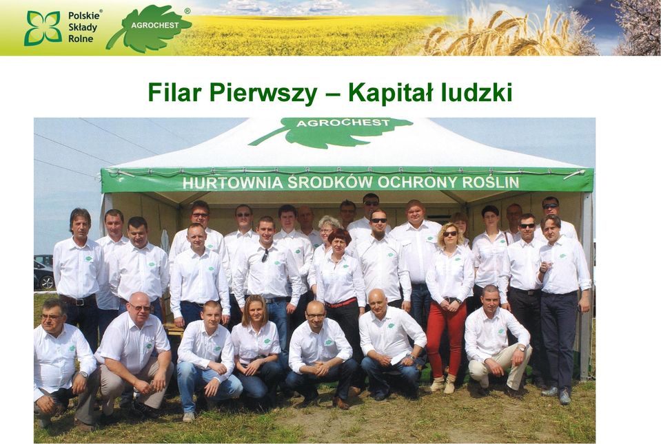 doradców wiedza