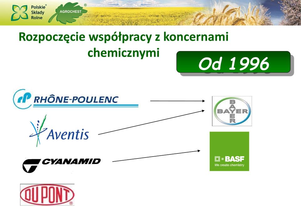 koncernami