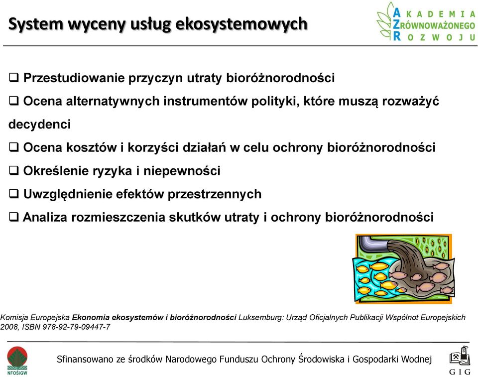 niepewności Uwzględnienie efektów przestrzennych Analiza rozmieszczenia skutków utraty i ochrony bioróżnorodności Komisja