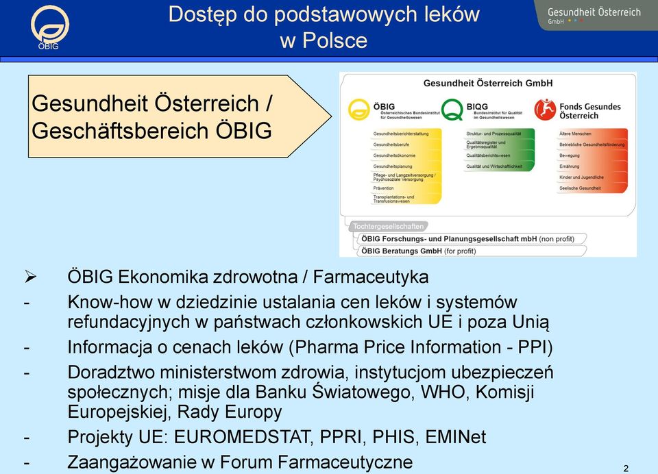 Information - PPI) - Doradztwo ministerstwom zdrowia, instytucjom ubezpieczeń społecznych; misje dla Banku Światowego,