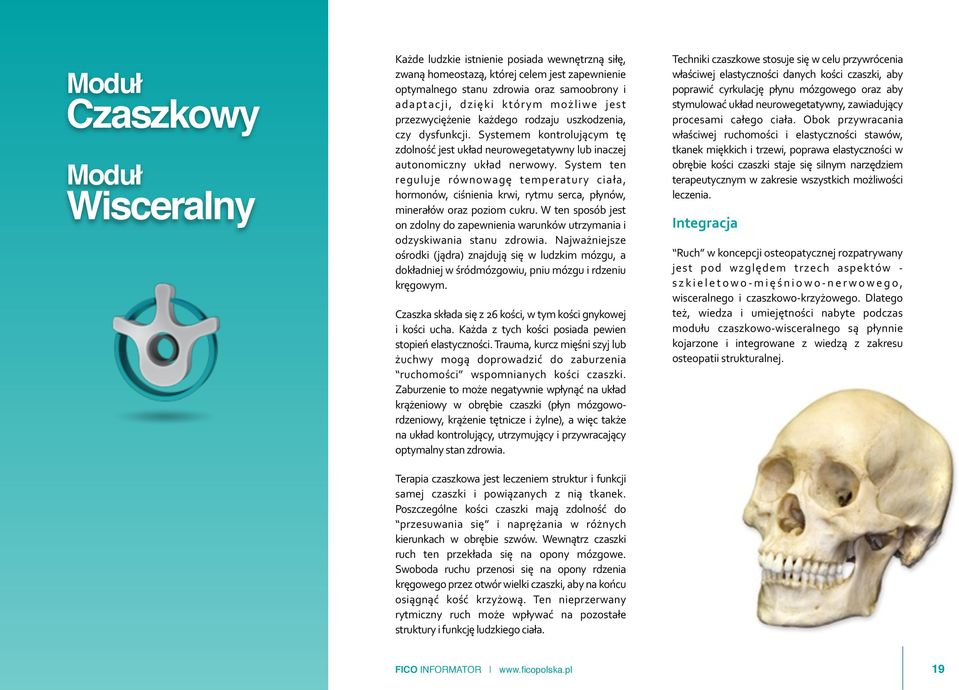 System ten reguluje równowagę temperatury ciała, hormonów, ciśnienia krwi, rytmu serca, płynów, minerałów oraz poziom cukru.