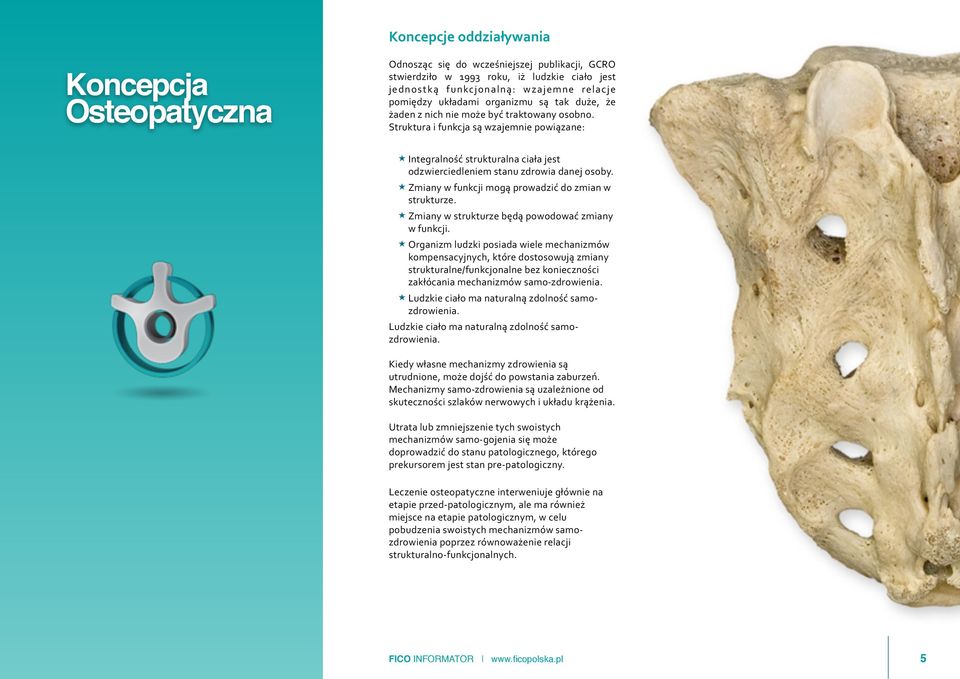 Struktura i funkcja są wzajemnie powiązane: Integralność strukturalna ciała jest odzwierciedleniem stanu zdrowia danej osoby. Zmiany w funkcji mogą prowadzić do zmian w strukturze.
