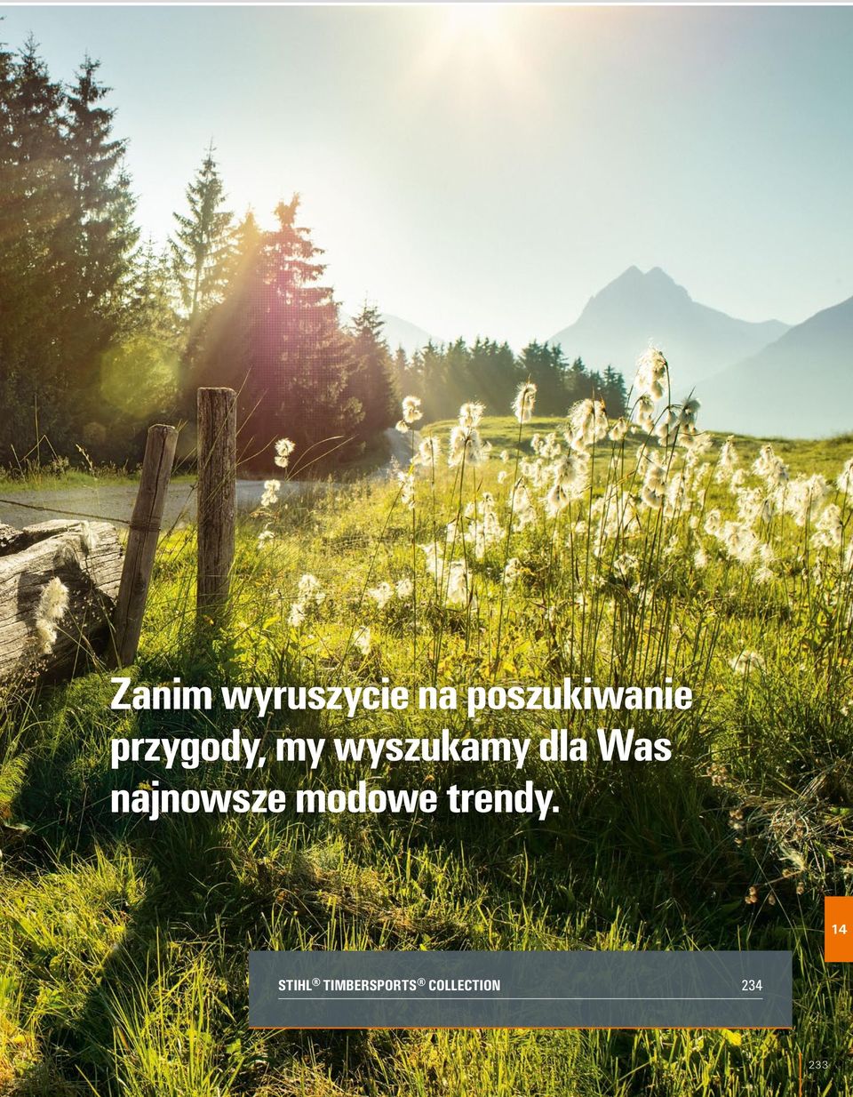 wyszukamy dla Was najnowsze