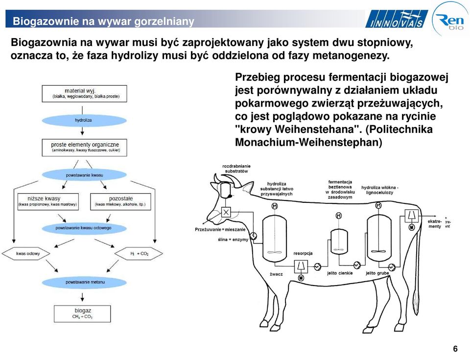 Przebieg procesu fermentacji biogazowej jest porównywalny z działaniem układu pokarmowego