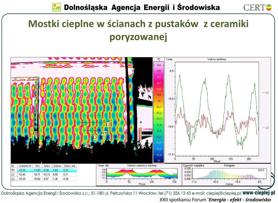 pustaków z