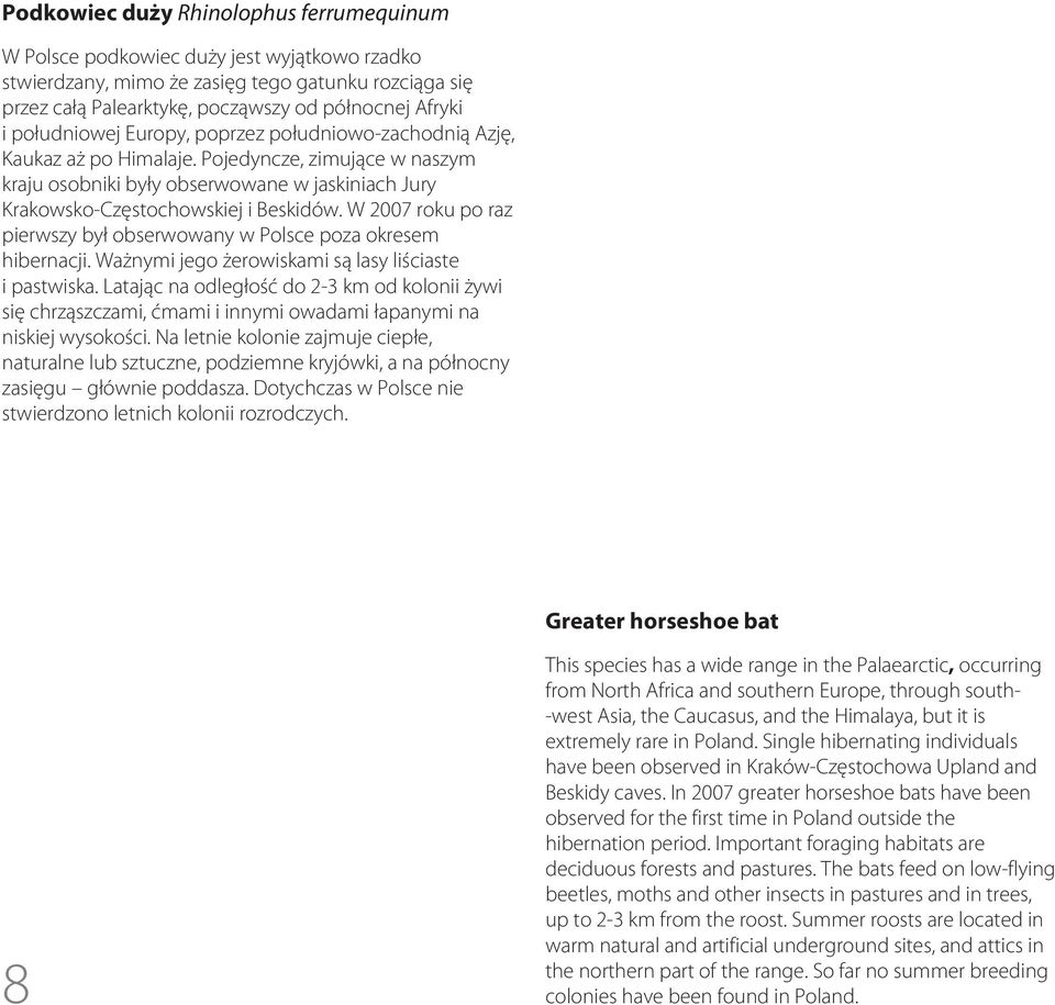 W 2007 roku po raz pierwszy był obserwowany w Polsce poza okresem hibernacji. Ważnymi jego żerowiskami są lasy liściaste i pastwiska.