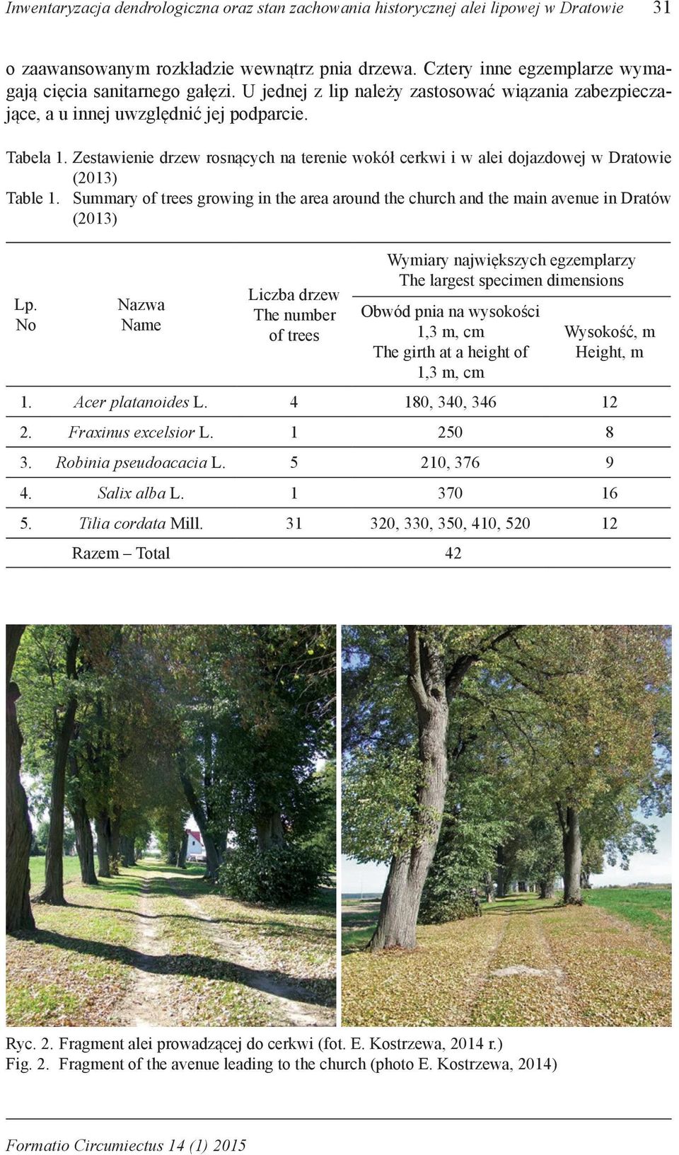 Zestawienie drzew rosnących na terenie wokół cerkwi i w alei dojazdowej w Dratowie (2013) Table 1. Summary of trees growing in the area around the church and the main avenue in Dratów (2013) Lp.