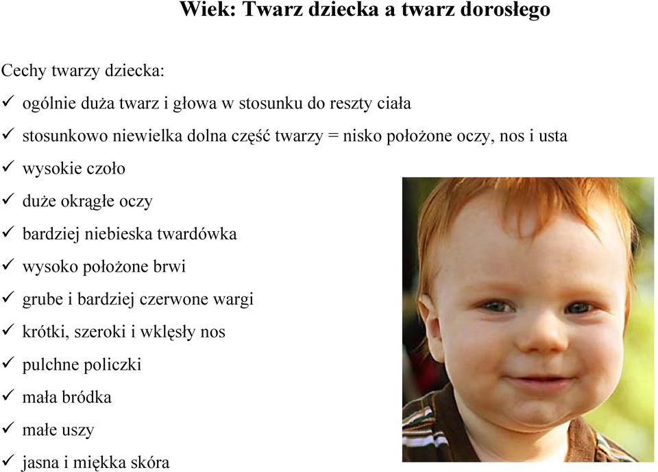 czoło duże okrągłe oczy bardziej niebieska twardówka wysoko położone brwi grube i bardziej