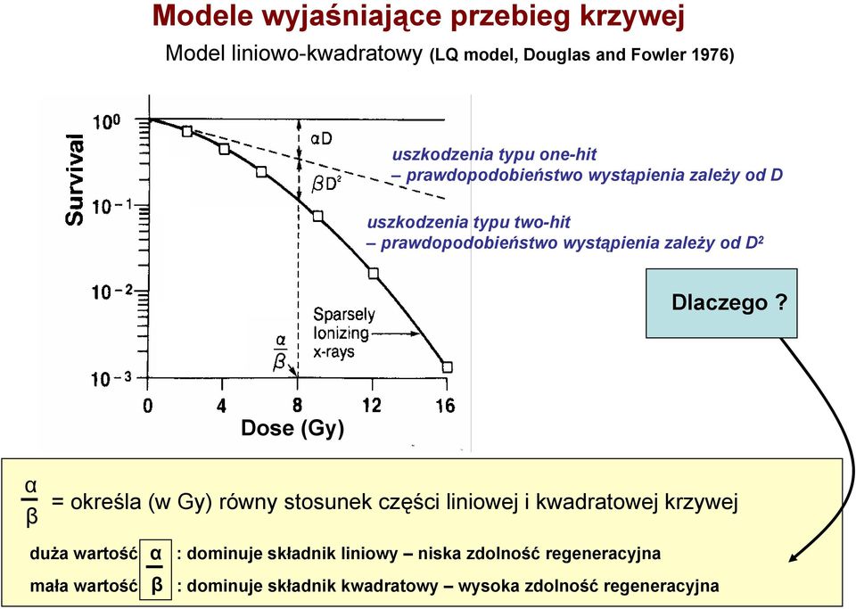 2 Dlaczego?