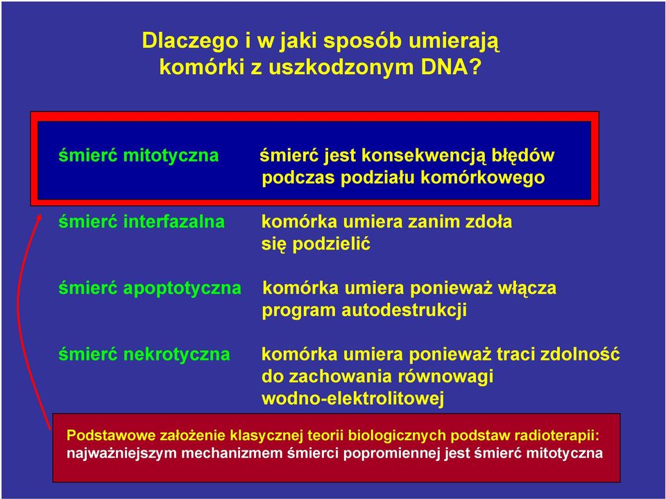 komórkowego komórka umiera zanim zdoła się podzielić komórka umiera ponieważ włącza program autodestrukcji komórka umiera ponieważ