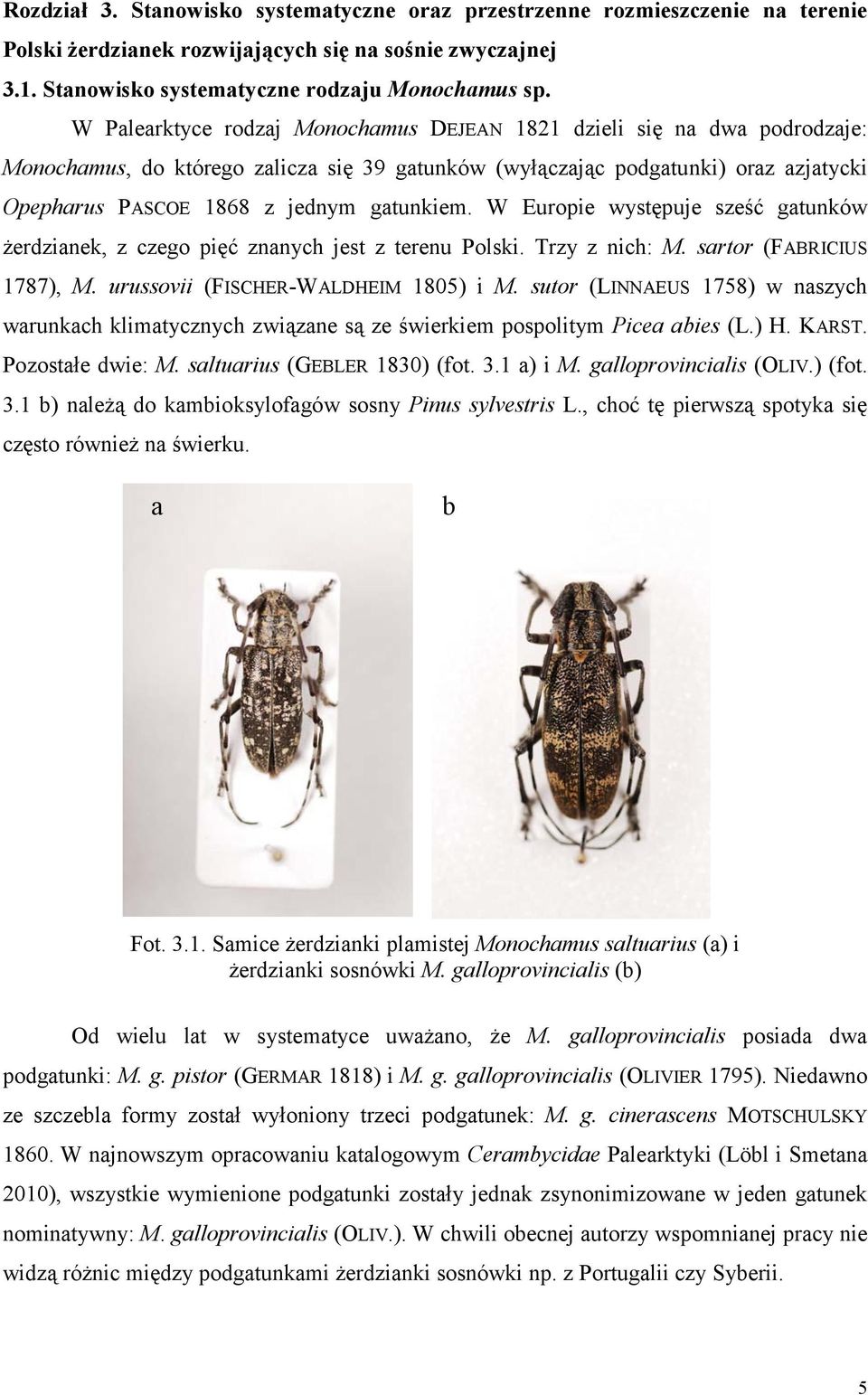 gatunkiem. W Europie występuje sześć gatunków żerdzianek, z czego pięć znanych jest z terenu Polski. Trzy z nich: M. sartor (FABRICIUS 1787), M. urussovii (FISCHER-WALDHEIM 1805) i M.