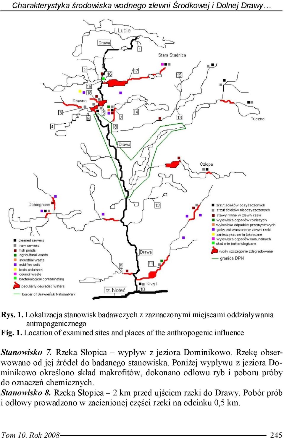 Location of examined sites and places of the anthropogenic influence Stanowisko 7. Rzeka Słopica wypływ z jeziora Dominikowo.