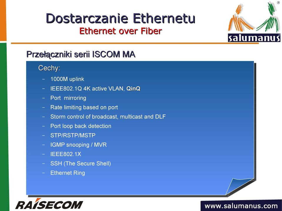 1Q 4K active VLAN, QinQ Port mirroring Rate limiting based on port Storm