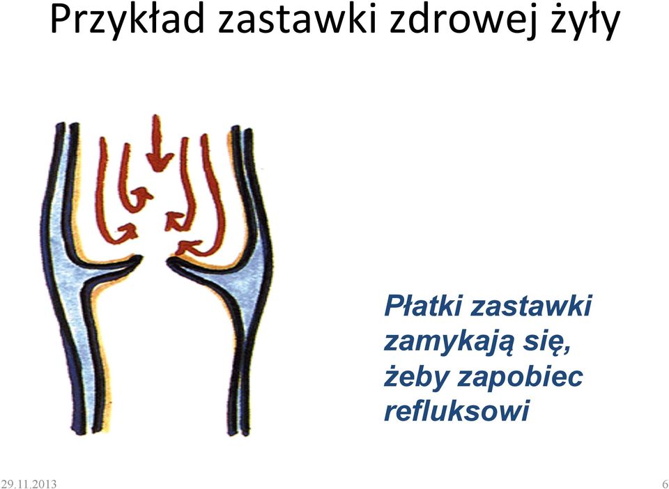 zastawki zamykają się,