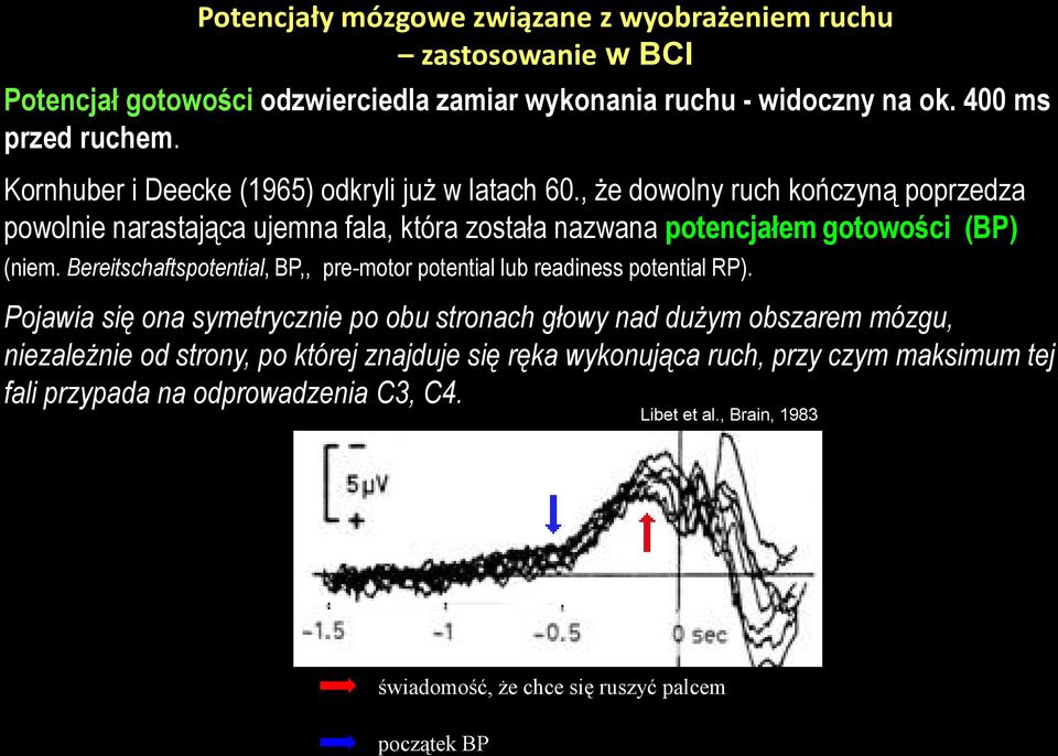 Bereitschaftspotential, BP,, pre-motor potential lub readiness potential RP).