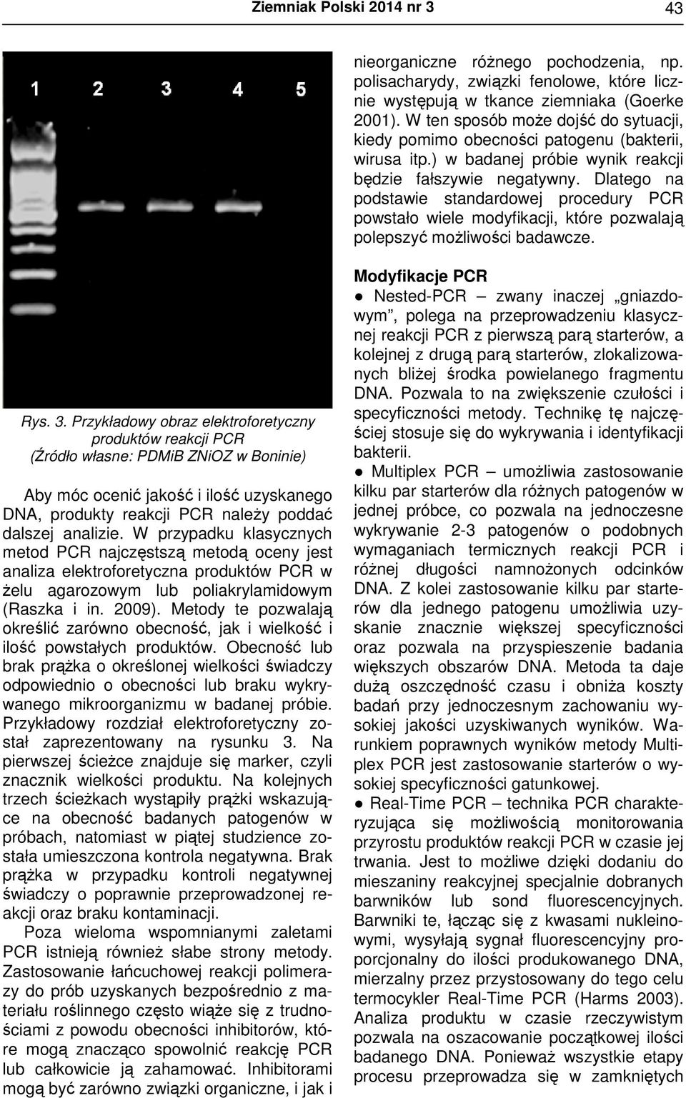 Dlatego na podstawie standardowej procedury PCR powstało wiele modyfikacji, które pozwalają polepszyć możliwości badawcze. Rys. 3.