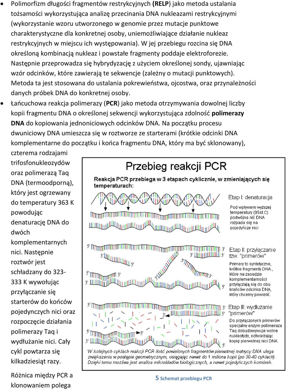 W jej przebiegu rozcina się DNA określoną kombinacją nukleaz i powstałe fragmenty poddaje elektroforezie.