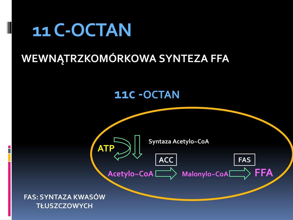 Acetylo~CoA ACC FAS Acetylo~CoA