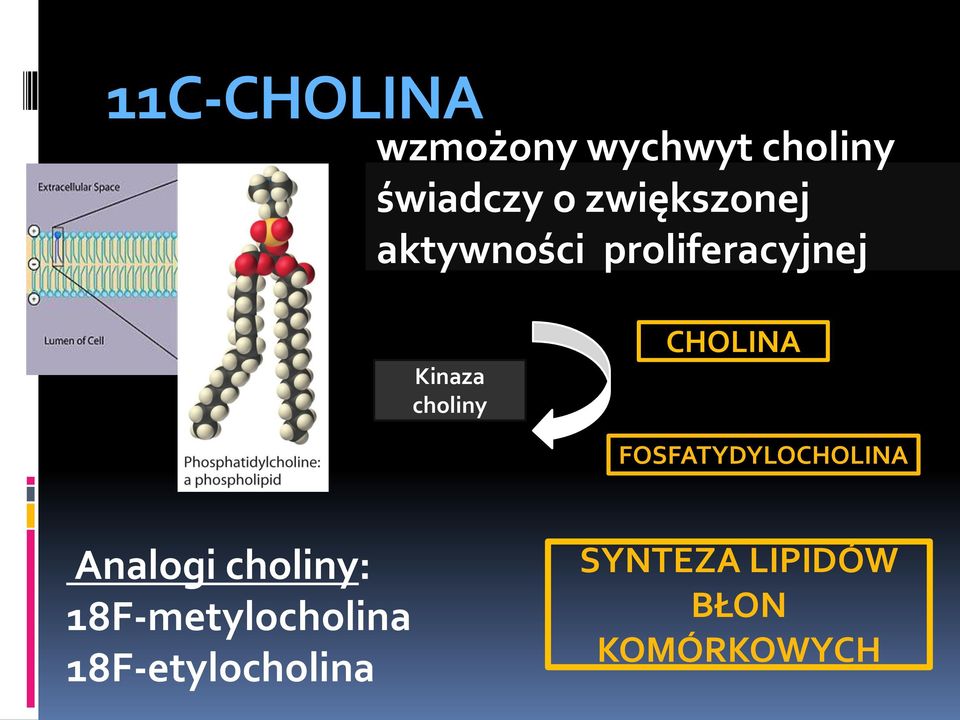 CHOLINA FOSFATYDYLOCHOLINA Analogi choliny: