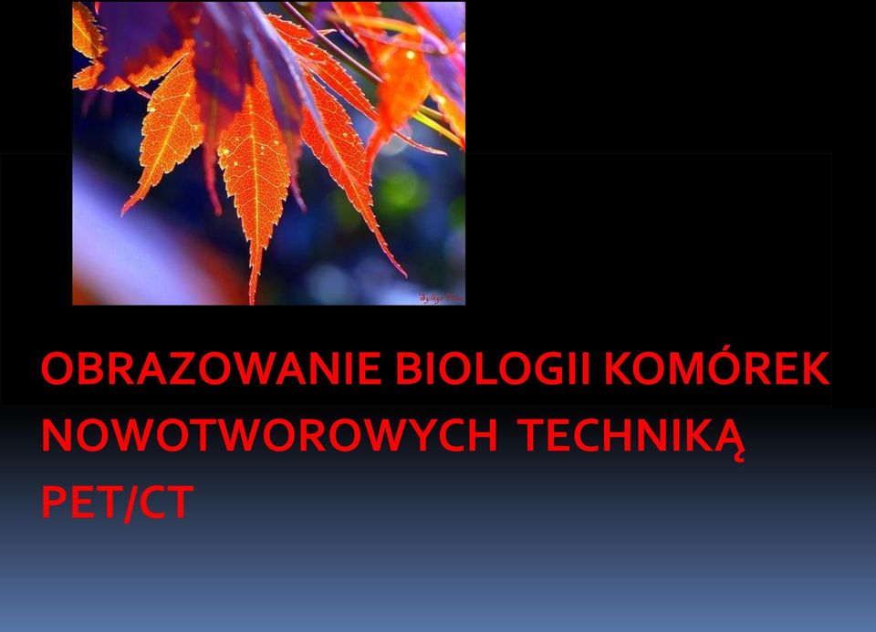 KOMÓREK