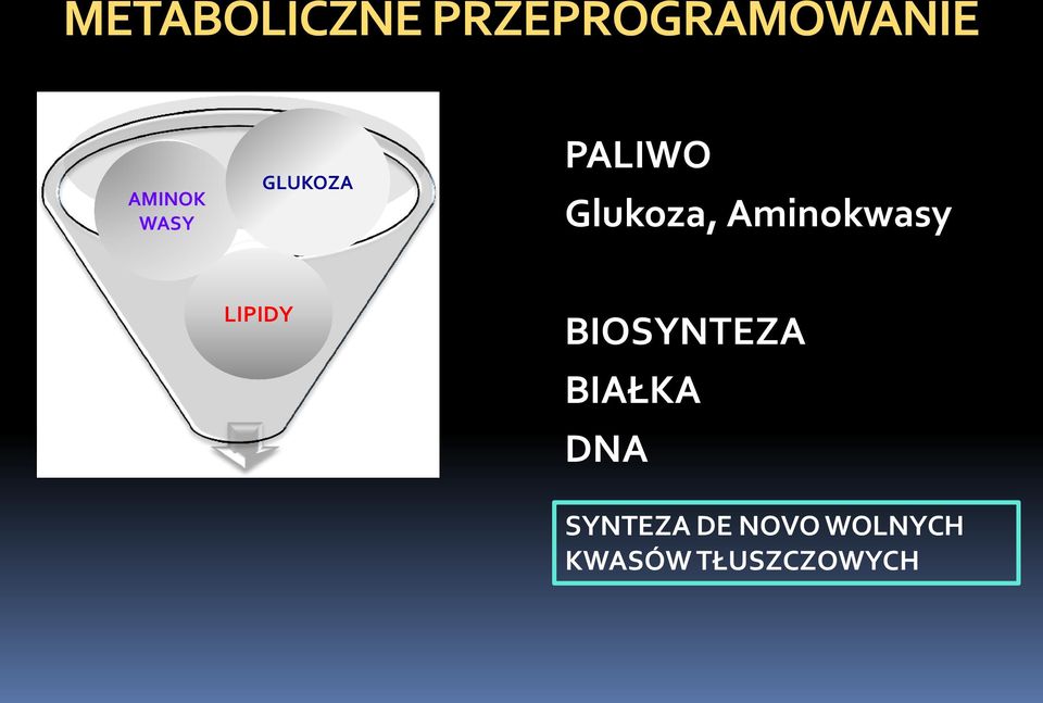Aminokwasy LIPIDY BIOSYNTEZA BIAŁKA