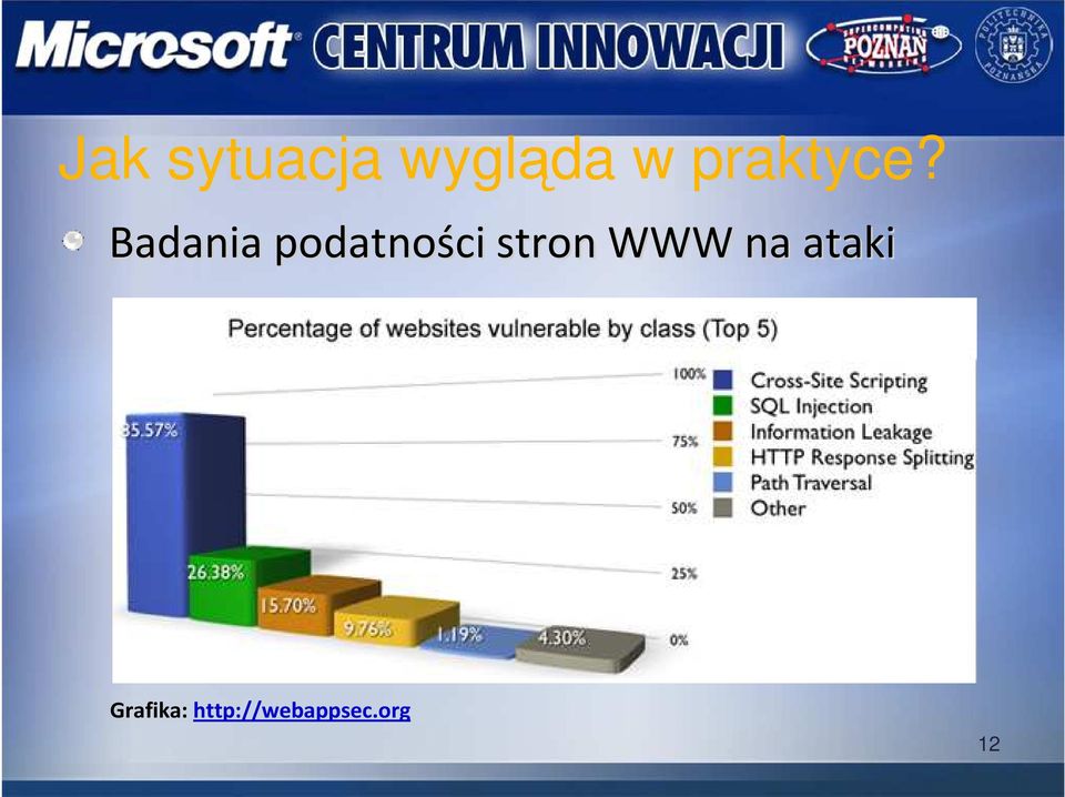 Badania podatności stron