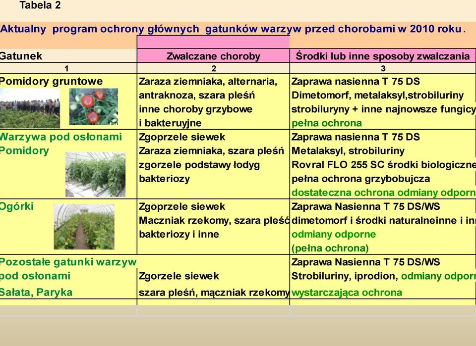 ziemniaka, alternaria, Zaprawa nasienna T 75 DS antraknoza, szara pleśń Dimetomorf, metalaksyl,strobiluriny inne choroby grzybowe strobiluryny + inne najnowsze fungicyd i bakteruyjne pełna ochrona