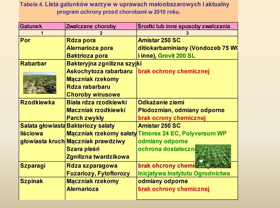 Bakteryjna zgnilizna szyjki Askochytoza rabarbaru brak ochrony chemicznej Mączniak rzekomy Rdza rabarbaru Choroby wirusowe Rzodkiewka Biała rdza rzodkiewki Odkażanie ziemi Maczniak rzodkiewki