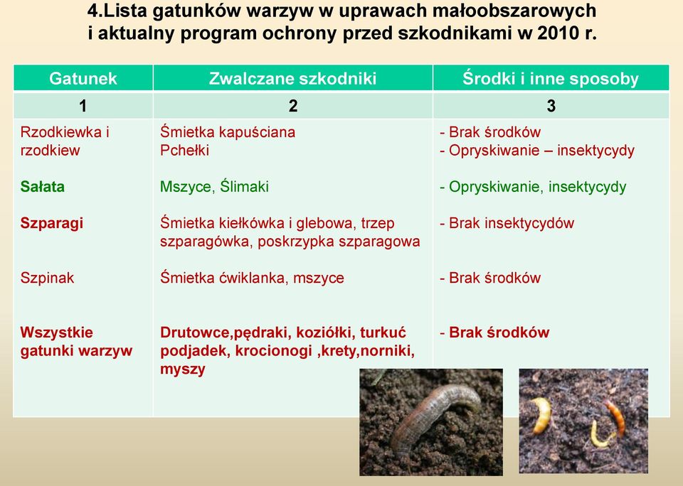 insektycydy Sałata Szparagi Szpinak Mszyce, Ślimaki Śmietka kiełkówka i glebowa, trzep szparagówka, poskrzypka szparagowa Śmietka ćwiklanka,