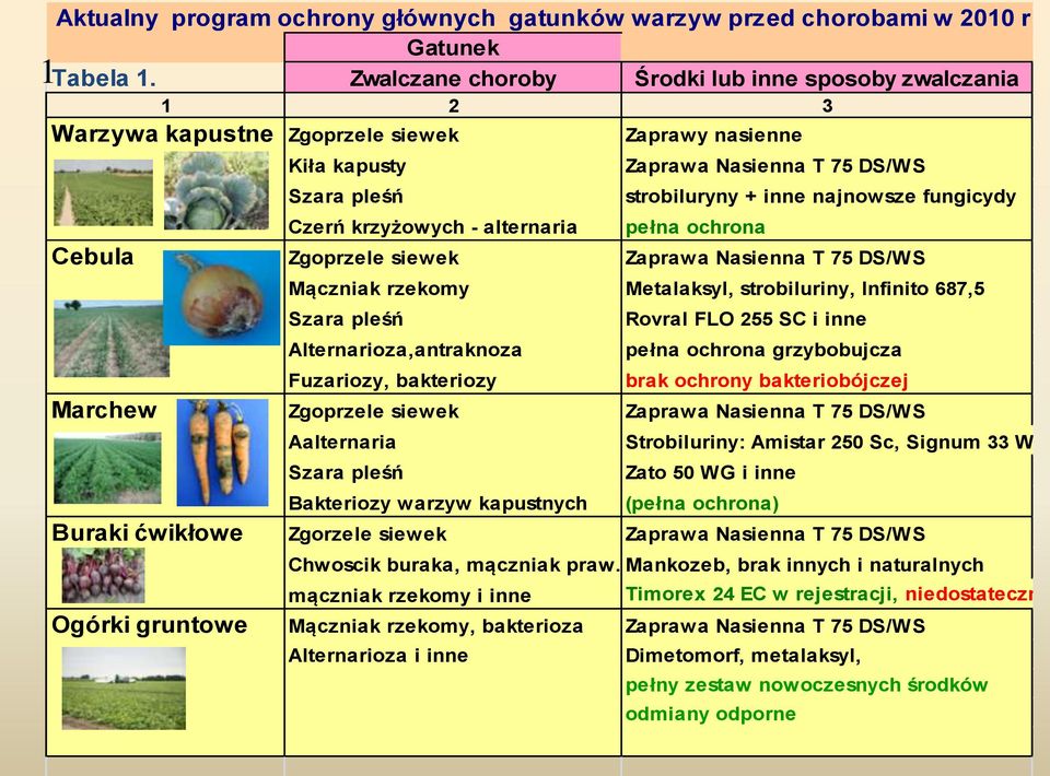 fungicydy Czerń krzyżowych - alternaria pełna ochrona Cebula Zgoprzele siewek Zaprawa Nasienna T 75 DS/WS Mączniak rzekomy Metalaksyl, strobiluriny, Infinito 687,5 Szara pleśń Alternarioza,antraknoza