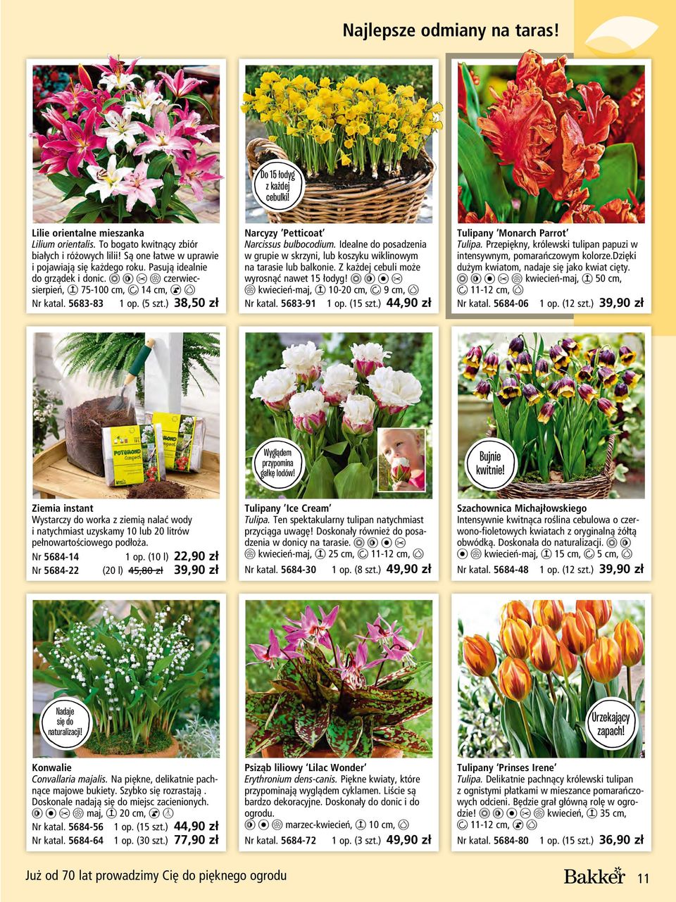 ) 38,50 zł Narcyzy Petticoat Narcissus bulbocodium. Idealne do posadzenia w grupie w skrzyni, lub koszyku wiklinowym na tarasie lub balkonie. Z każdej cebuli może wyrosnąć nawet 15 łodyg!