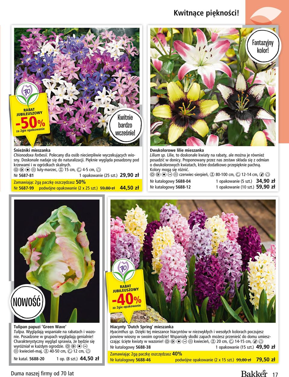 ) 59,80 zł 44,50 zł Dwukolorowe lilie mieszanka Lilium sp. Lilie, to doskonałe kwiaty na rabaty, ale można je również posadzić w donicy.