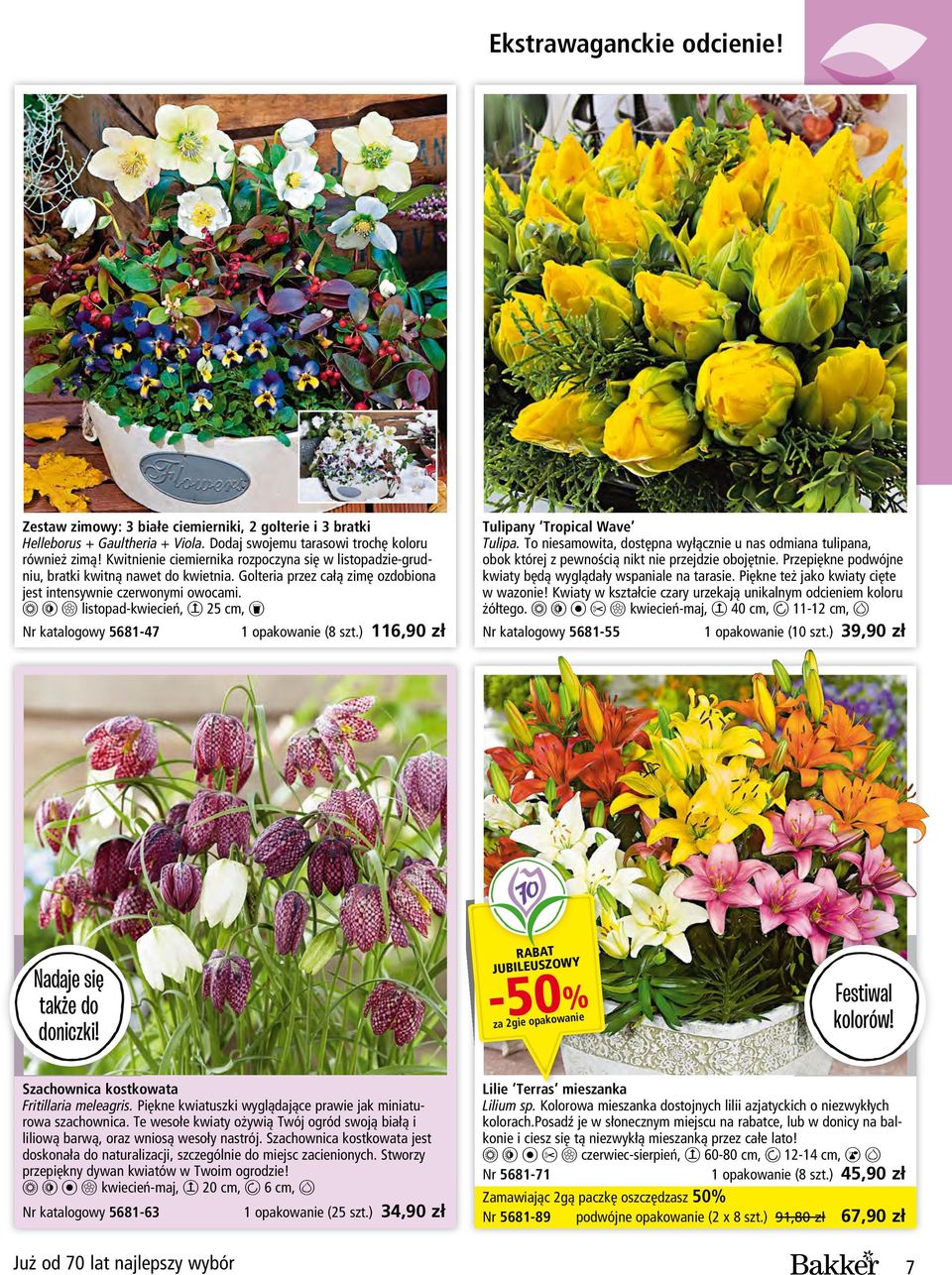 1 2 - listopad-kwiecień, 6 25 cm, 9 Nr katalogowy 5681-47 1 opakowanie (8 szt.) 116,90 zł Tulipany Tropical Wave Tulipa.