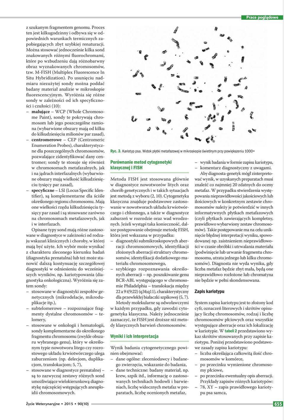 M-FISH (Multiplex Fluorescence In Situ Hybridization). Po usunięciu nadmiaru niezużytej sondy można poddać badany materiał analizie w mikroskopie fluorescencyjnym.