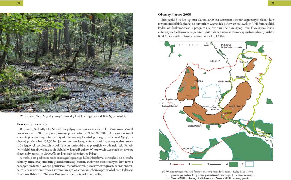 Dyrektywa Ptasia i Dyrektywa Siedliskowa, na podstawie których tworzone są obszary specjalnej ochrony ptaków (OSOP) i specjalne obszary ochrony siedlisk (SOOS). 23.