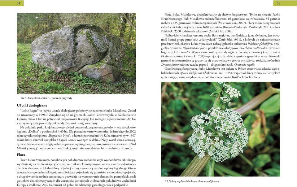 Flora roślin naczyniowych całej Ziemi Lubuskiej liczy około 1680 gatunków (Kujawa-Pawlaczyk i Pawlaczyk, 2001), a flora Polski ok. 2500 rodzimych taksonów (Mirek i in., 2002).