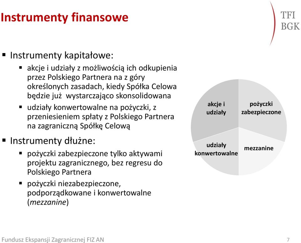 Partnera na zagraniczną Spółkę Celową Instrumenty dłużne: pożyczki zabezpieczone tylko aktywami projektu zagranicznego, bez regresu do