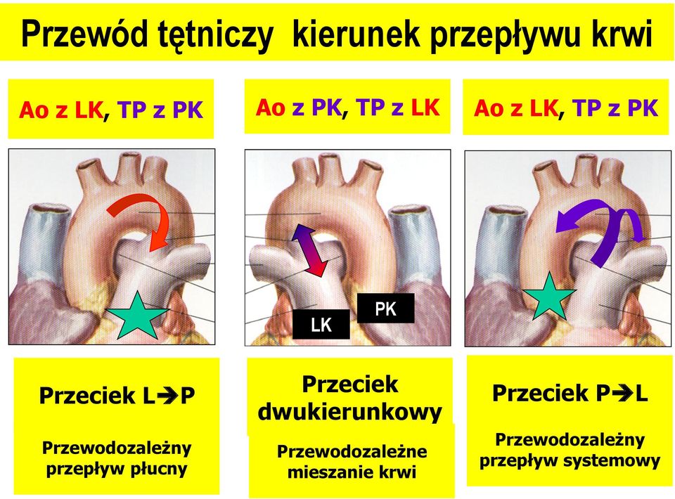 Przewodozależny przepływ płucny Przeciek dwukierunkowy