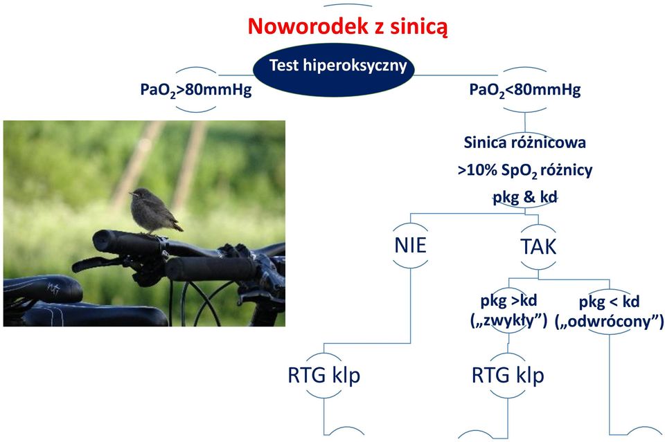 różnicowa >10% SpO 2 różnicy pkg & kd TAK