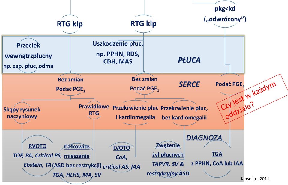Przekrwienie płuc i kardiomegalia Przekrwienie płuc, bez kardiomegalii RVOTO Całkowite TOF, PA, Critical PS, mieszanie Ebstein, TA