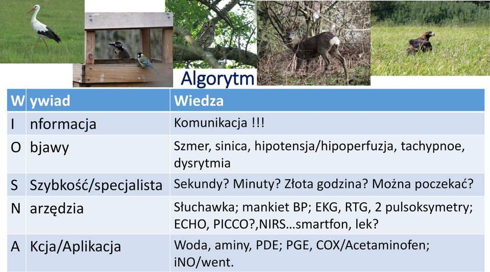 Szybkość/specjalista Sekundy? Minuty? Złota godzina? Można poczekać?