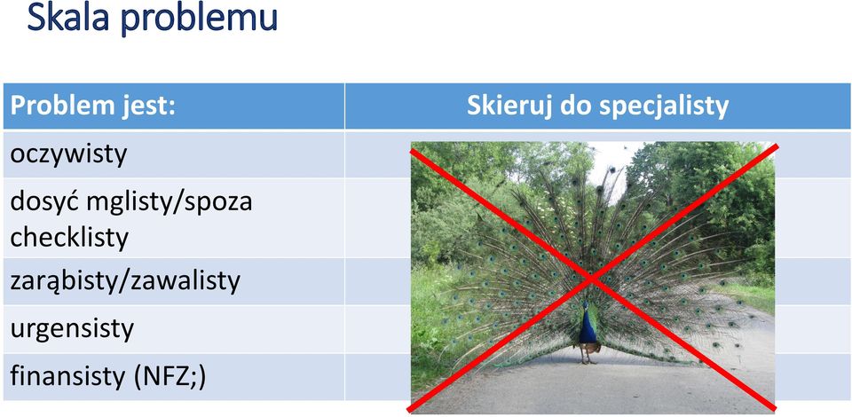 dosyć mglisty/spoza checklisty