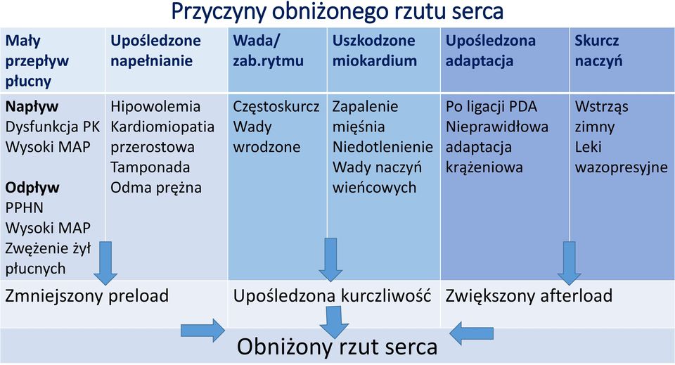 rytmu Częstoskurcz Wady wrodzone Uszkodzone miokardium Zapalenie mięśnia Niedotlenienie Wady naczyń wieńcowych Upośledzona adaptacja
