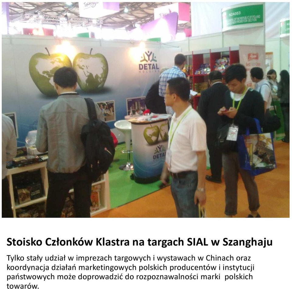 koordynacja działań marketingowych polskich producentów i
