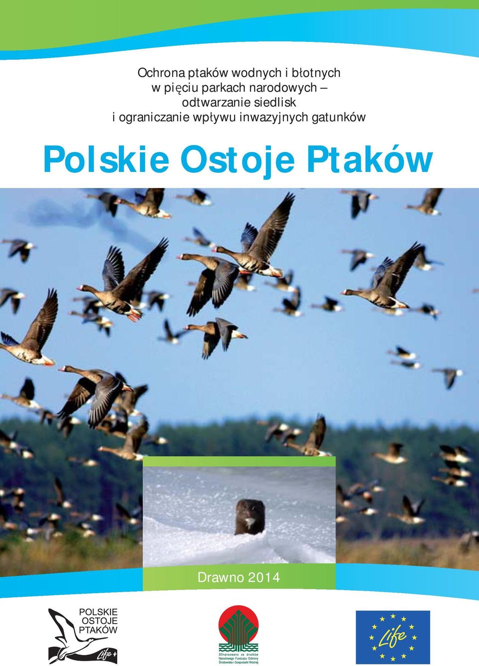 siedlisk i ograniczanie wp ywu