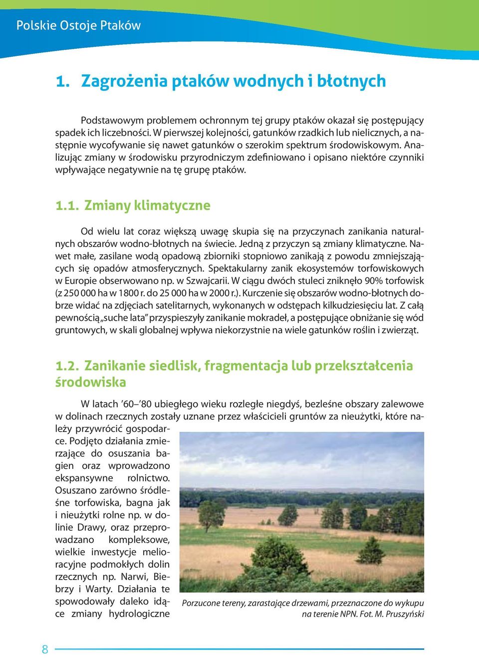 Analizując zmiany w środowisku przyrodniczym zdefiniowano i opisano niektóre czynniki wpływające negatywnie na tę grupę ptaków. 1.
