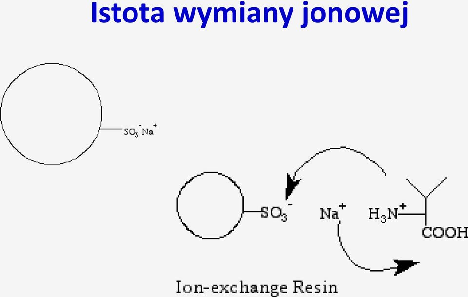 jonowej