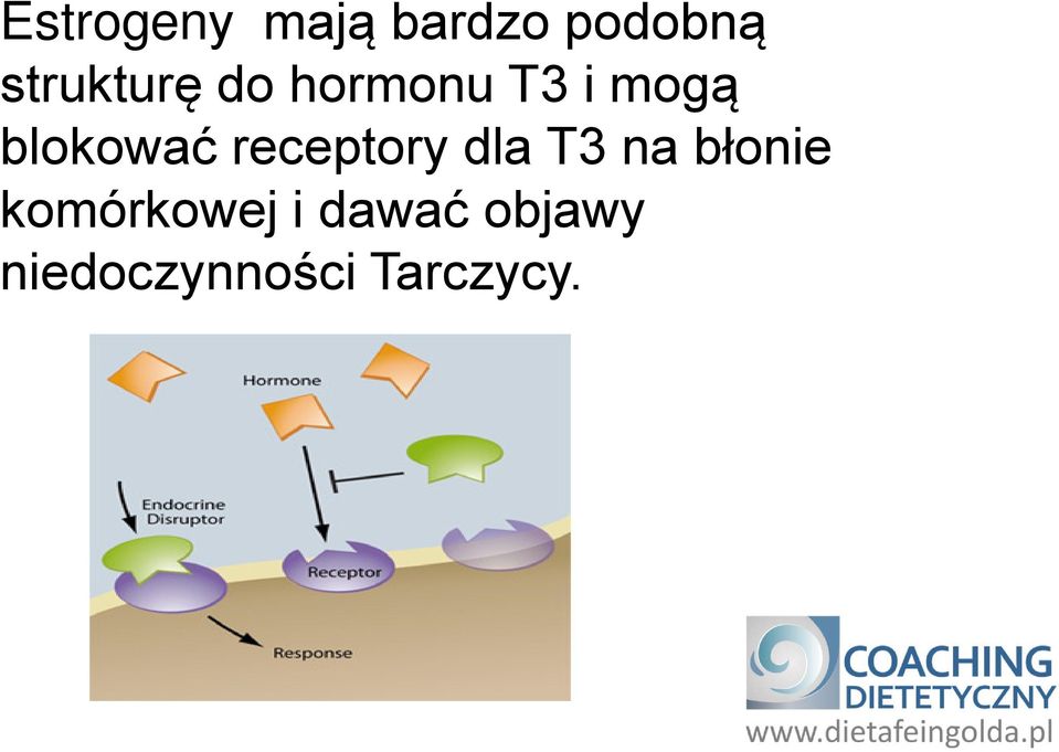 blokować receptory dla T3 na błonie