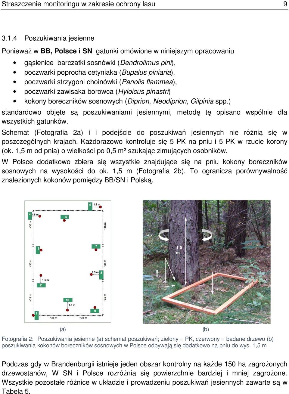 poczwarki strzygoni choinówki (Panolis flammea), poczwarki zawisaka borowca (Hyloicus pinastri) kokony boreczników sosnowych (Diprion, Neodiprion, Gilpinia spp.